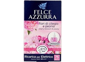 FELCE ARIA CASA ELETTRICO RICARICA F CILIEG