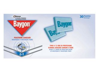 BAYGON PIASTRINE RINE 30PEZZI