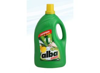 ALBA PIATTI 4LT LIMONE