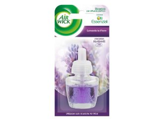 AIR WICK ELETTRICO RICARICA LAVANDA