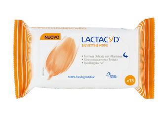 LACTACYD SALVIETT INTIME 15PEZZI  PR &DELICATO