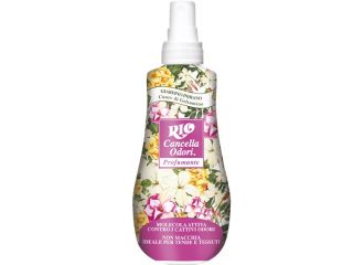 RIO BUM BUM CANC ODORI SPRAY 300ML GELSO