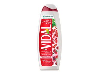 VIDAL BAGNOSCHIUMA 500ML MIRTILLO/GOJI