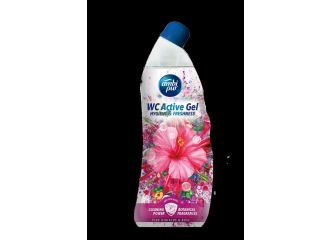 AMBIPUR WC ACTIVE GEL 750ML IBISCO/ROSA