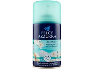 FELCE ARIA CASA DEOMATIC RICARICA 250ML MAGNO