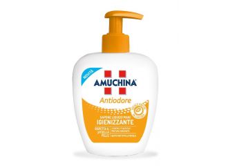 AMUCHINA SAPONE LIQUIDO COMPL 250ML IGIENE ANTIODOR