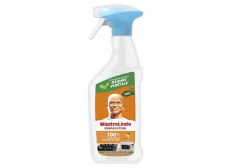 MASTROLINDO 500ML SPRAY SGRASSATORE