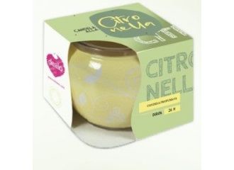 DEALO CITRONELLA 85GR 26 ORE SHRINK