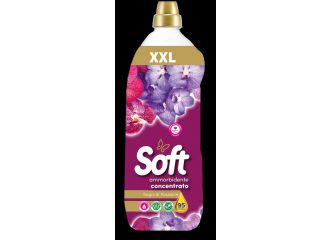 SOFT AMMORBIDENTE CONCENTRATO 2LT XXL SOGNI DI PASSIONE