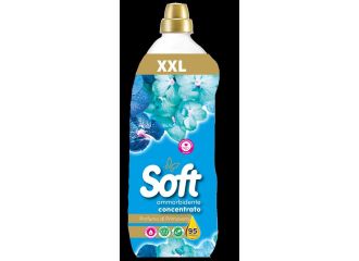 SOFT AMMORBIDENTE CONCENTRATO 2LT XXL PROFUMO PRIMAVERA