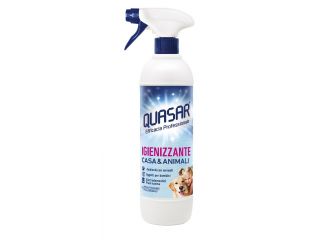 QUASAR CASA & ANIMALI TRIGGER 580ML