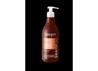 DIKSON SHAMPOO 500ML ARGAN