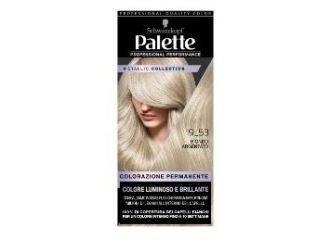 PALETTE METALLIC 9-53 B ARGENTATO