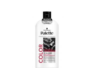 PALETTE BALSAMO 440ML COLOR