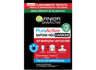 GARNIER PURE ACTIVE SAP SOLIDO 100