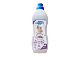 PROFUMINA CASA DETERGENTE IGIENIZZANTE CONCENTRATO LAVANDA 1 LT