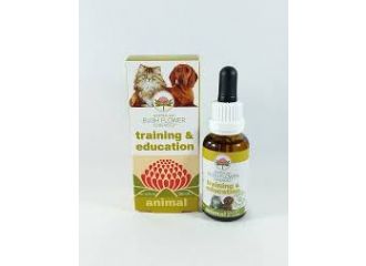 Training & education 30ml