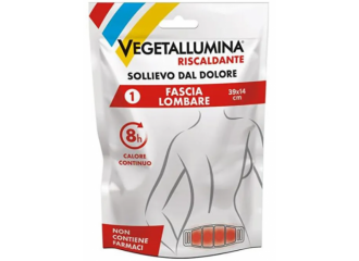 Vegetallumina fascia lombare