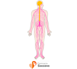 Antinfiammatori per Muscoli e Nervi: Guida Completa all'Uso e ai Benefici